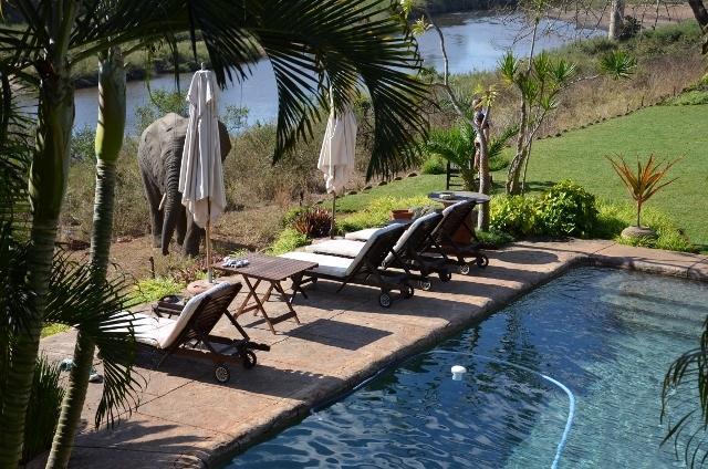 Khandizwe Kruger Villa Malalane Zimmer foto